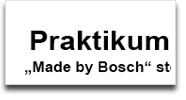 bosch-praktikum_bild.jpg