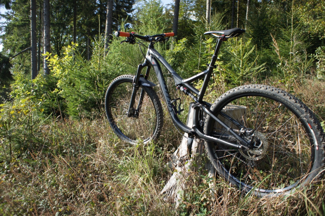 Mountainbike an einem Baumstumpf im Wald